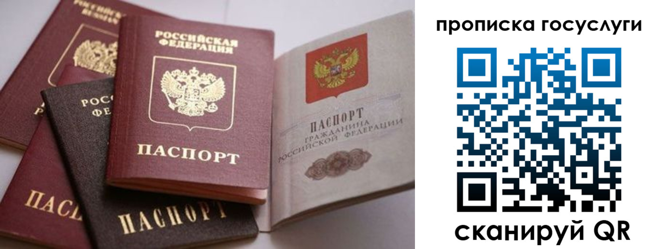 прописка штамп в Боброве